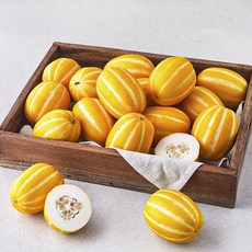 곰곰 성주 월항 꼬마참외, 5kg, 1개