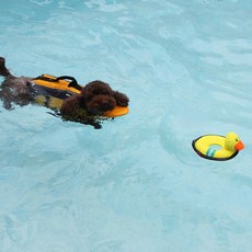 지피포우즈 강아지용 Z 스티치 튜브 장난감, 오리, 1개