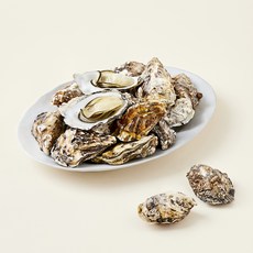 아라보감 산지직송 망에서키워 더 신선한 남해안 익혀먹는 석화, 2kg, 1박스