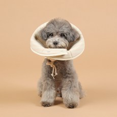 thinkeco 寵物犬防咬頸圈 S號, 52g, 1個