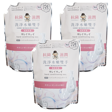 LION 獅王 趣淨 敏弱肌專用洗手慕斯 補充包, 400ml, 3包