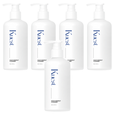 쾌스트 퍼펙트 쿨링 남성청결제, 300ml, 5개