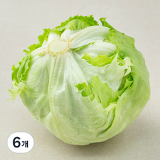 친환경 인증 점보 양상추, 1개입, 6개