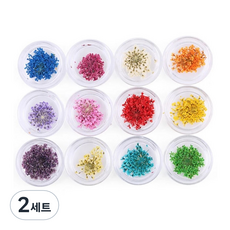 Tenezer乾燥花壓花造型美甲裝飾品 12件組, 混色, 2組