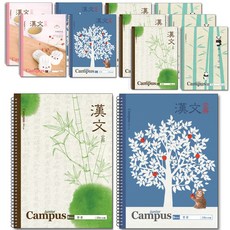 b fancy 線圈中文練習本, 隨機發貨, 12個