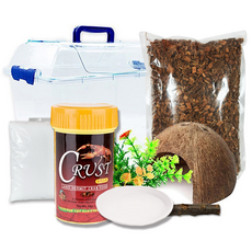 Rora Pet 寄居蟹飼養魚缸組, 混色, 1個