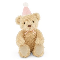 Snuggle Bunnies 安撫玩偶 生日快樂 泰迪熊 熊娃娃 亞瑟, 1個, 精靈