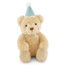 Snuggle Bunnies 安撫玩偶 生日快樂 泰迪熊 熊娃娃 亞瑟, 1個, 天空