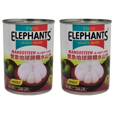 TWIN ELEPHANTS 雙象地球牌 糖水山竹, 565g, 2罐