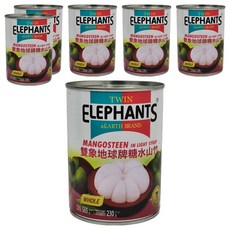 TWIN ELEPHANTS 雙象地球牌 糖水山竹, 565g, 6罐