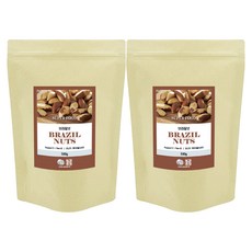 견과공장 브라질너트 Medium, 500g, 2개