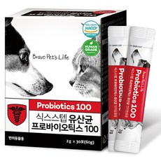 식스스텝 반려동물 영양제, 60g, 장건강/유산균, 1개