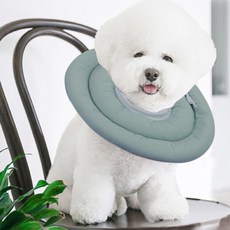 DING DONG PET 寵物防咬舔頭套圈, 綠色, 1個