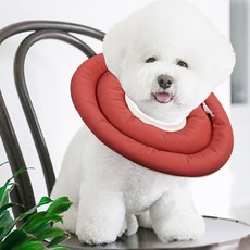 DING DONG PET 寵物防咬舔頭套圈, 紅色, 1個