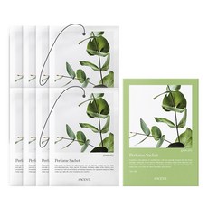 에이센트 퍼퓸 사쉐 M 본품, 10g, 8개, 그린에어리