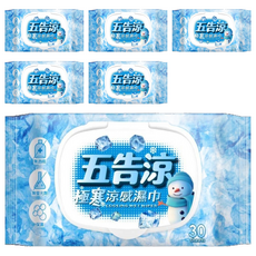 奈森克林 五告涼極寒涼感濕巾附蓋, 6包, 30張