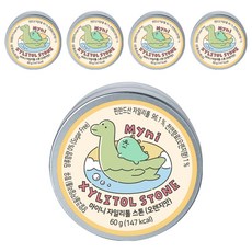 마이니 자일리톨 스톤 오렌지맛, 60g, 5개