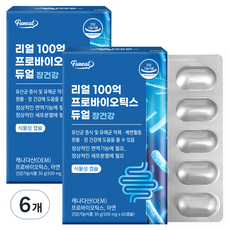 퍼니트 리얼 100억 프로바이오틱스 듀얼, 60정, 6개