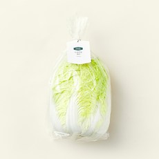 프리미엄 배추, 1.5kg, 1개입, 1개