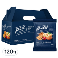 투데이넛 너트한줌 베이직 믹스넛 20g, 120개