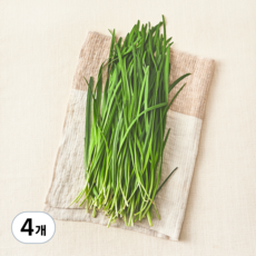 국내산 유기농 부추, 200g, 4개