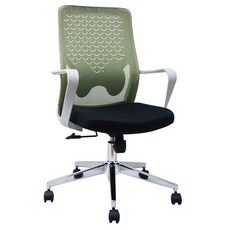 colorplay 玩色系 日光生活館 人體工學辦公椅 EL-60, 綠色, 可調節高度, 128~188 x 62 x 50cm