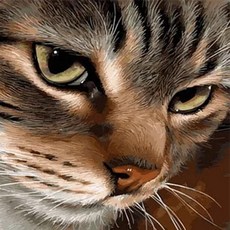 ArtLife 藝術生活 數字油畫DIY DT143 40 x 50cm, 神秘眼, 1盒