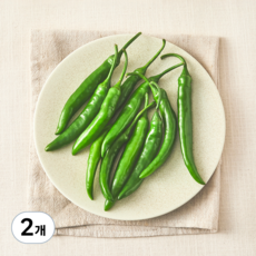 국내산 친환경 청양고추, 100g, 2개