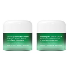 헤이네이처 어성초 워터 데이크림, 2개, 80g