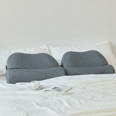 리브맘 메모리폼 기능성 바른자세 경추베개, 차콜, 2개