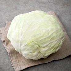 제주도 유기농 양배추, 1.2kg, 1봉