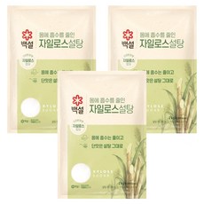 백설 자일로스 설탕, 2kg, 3개