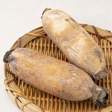 친환경 세척 연근, 1개