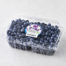 GAP 인증 상큼애 블루베리 중, 500g, 1개