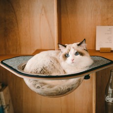 Doridaengdaeng 太空擴張 Catkick Cat 火箭吊床, 黑色, 1個