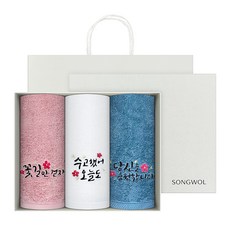 송월타월 럭키 캘리그라피 세면타올 3p 180g 40수 코마사 + 케이스 + 쇼핑백 세트, 랜덤발송, 1세트