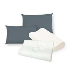 LIV MOM 高密度記憶海綿枕頭 2入+枕套 2入, 日常炭灰色