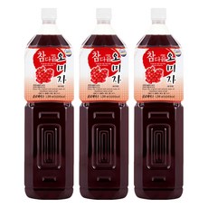파낙스 참다음 오미자 농축액, 1.5L, 3개