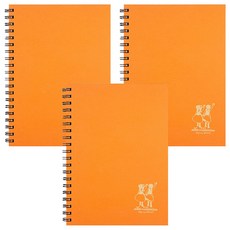 플라잉웨일즈 빨강머리앤 스프링노트 L, 오렌지, 3개