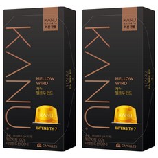 카누 바리스타 머신 전용 캡슐커피 멜로우윈드, 9.5g, 10개입, 2개