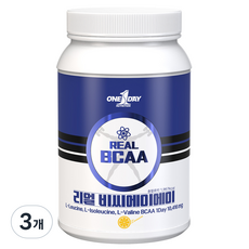 원데이뉴트리션 리얼 BCAA, 3개, 500g
