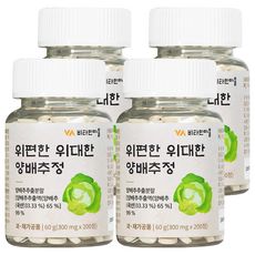 Vitamin Village 胃舒適偉大的高麗菜萃取物, 200片, 4個