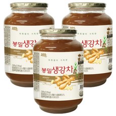 DAMIZLE 蜂蜜薑茶醬, 2kg, 1罐, 3罐