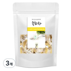 숲으로 저온 로스팅 삼각티백 국화차, 500mg, 100개입, 3개
