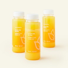 올가니카 헬시파인 과채주스, 190ml, 3개