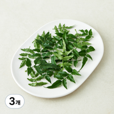 국내산 자스민, 3개, 10g