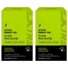 익스트림 액티브 에너지젤 14p, 560g, 2개
