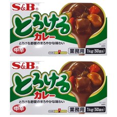 S&B 愛思必 特樂口野菜咖哩塊 中辣, 1kg, 2盒