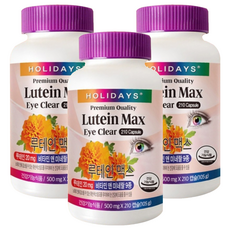 홀리데이즈 루테인 맥스, 210정, 3개