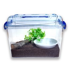 사필풍 달팽이 클린 초급자 세트, 혼합색상, 1개